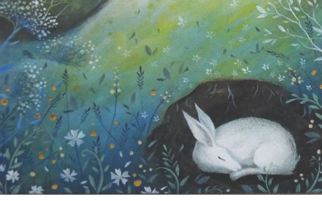 Meseállítás 10.00-14.00 – Csoportos Családállítás 15.00-20.00