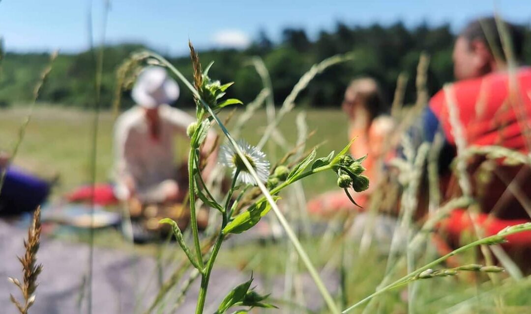 Önismereti Piknik – Sopron